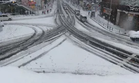 Снегопад впервые за несколько лет обрушился на Токио