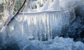 Жауын-шашын: алдағы күндері ауа райы қандай болады?