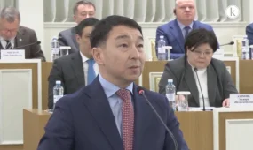 Конституциялық комиссия жаңа Ата заңда волонтерлік қызмет мәртебесінбекітуді қолдады