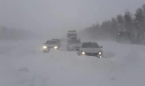 Жолда қалған 12 адам құтқарылды