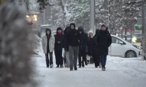 «Актив Ломбард» желісінің иесі қамауға алынды