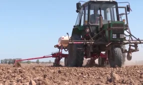 Түркістан облысы Жетісай ауданында дихандар ерте пісетін бақша өнімдерін еге алмай отыр