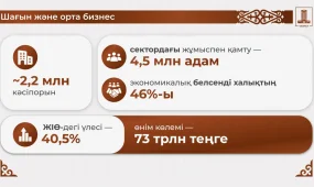 Олжас Бектенов: Үкімет бизнесті қолдаудың қосымша қаржылық және реттеушілік шараларын әзірлеуде