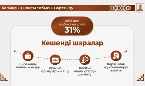 Азаматтар үшін еңбекақыны көтеру және қаржылық жүктемені азайту – Олжас Бектенов Президентке жаңа шаралар туралы баяндады