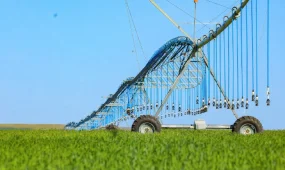 Үкіметтің кеңейтілген отырысы: су үнемдеу технологияларын енгізу елімізде 847 млн текше метр су үнемдеуге мүмкіндік берді