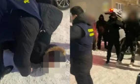 Ақмолада киберполицейлер бірнеше алаяқтық схемаға қатысы бар дропперді ұстады