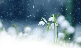 Сильные осадки ударят по югу, а морозы – по всему Казахстану