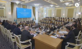 Конституция жобасы бойынша 10 мыңнан астам өтініш түсті