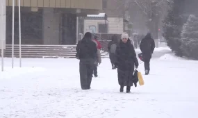 Два пастуха замерзли насмерть в Западном Казахстане: возбуждено уголовное дело