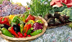 Свежие продукты по выгодным ценам: в Астане пройдет ярмарка фермеров