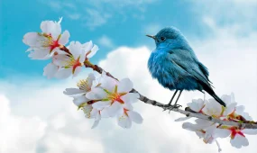 Зима и весна в один день: погода в городах страны на 13 февраля