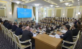 Жаңа Конституцияның жобасы жарияланды