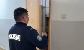 Бухгалтер-лудоман похитил 118 млн. тенге в ветеринарной службе ЗКО