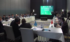 Центральная Азия готовит общую платформу "Зеленая школа"