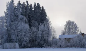 Погода 14 февраля 2026: морозы в Астане и тёплые дожди в Шымкенте