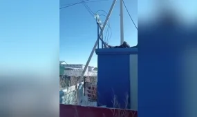 Психикалық ауруға шалдыққан тұрғын тоққа түсіп қалды