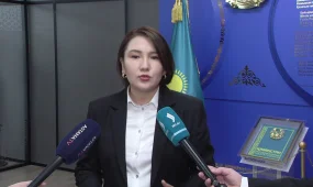 Конституциялық реформа: саяси жүйені жаңғырту жолы