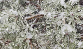 В Алматы дождь со снегом, в Шымкенте туман: прогноз погоды на воскресенье, 15 февраля
