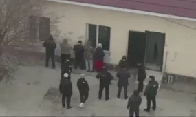 60 млн доз снюсов изъяли в подпольных цехах Туркестанской области