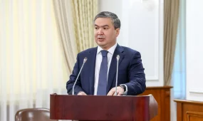 В Казахстане будут выпускать галлий для Японии