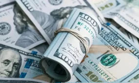 Елде доллар құны арзандады