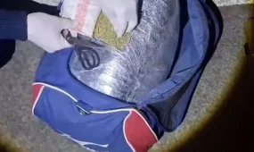 Жамбыл облысында 100 келіден астам марихуана тәркіленді