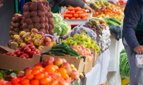 Астанада ауыл шаруашылығы жәрмеңкесі өтеді