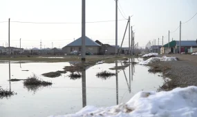 Таразда қалың қар еріп, қала көшелері суға толды