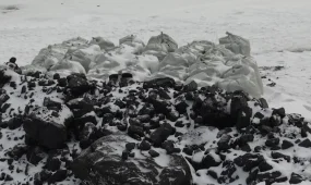 "Қоршаған ортаға зиян келтірмей көмір энергетикасын дамытудың бірнеше жолы бар",-депутат