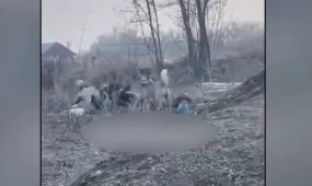 Алматы облысында 52 жастағы әйелді бір топ ит талады