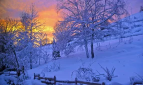 Погода 20 февраля 2026: мороз в столице, тепло на юге и переменная облачность