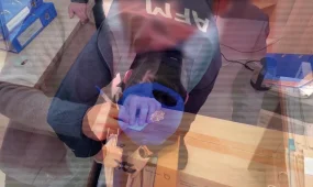 Түркістан облысында 49 мектептің қаржысын жымқырғандар сотталды