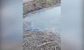 Нечистотами затопило территорию частных домов в микрорайоне Петропавловска