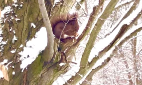 Сильный ветер и осадки ожидаются во всех мегаполисах в субботу, 21 февраля
