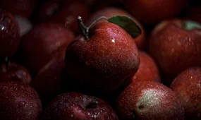 Казахстанский апорт готовится к выходу на европейский рынок