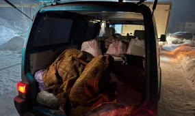 Ет өнімдері заңсыз тасымалданды