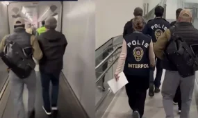 Подогреваемого в мошенничестве на 95 миллионов тенге доставили из Антальи