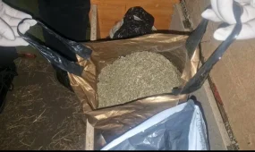 Мешок марихуаны нашли у жителя Катон-Карагая