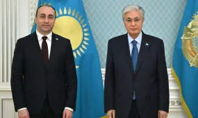 Токаев принял министра внутренних дел Грузии