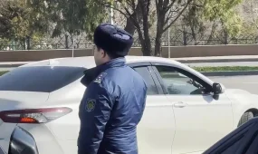 Шымкенттегі Дендросаябақта суицид белгілерімен мәйіт табылды