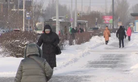 Каждый казахстанец будет ответственен за безопасность экологии, в случае принятия новой конституции