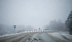 Бүгін тұман түсіп, бұрқасын болады