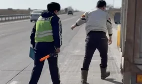 600-ден аса малды құжатсыз тасымалдағандар әшкереленді