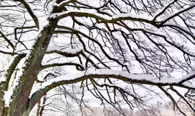 В Астане –31, в Шымкенте +13: погода на вторник, 24 января