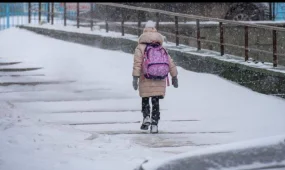 Похолодание в Астане: младшие и средние классы первой смены учатся дистанционно