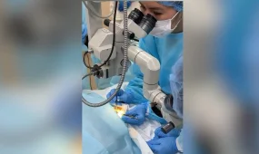 Павлодарда 3 жастағы бала абайсызда көзіне қайшы сұғып алды