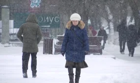 Қызылжарда әйел өзінің көңілдесін телевизордың пультымен ұрып өлтірді