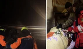 Мужчина едва не замерз под Астаной