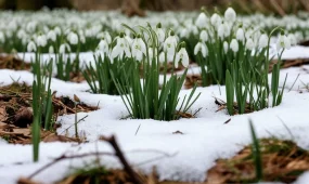Март теплее и влажнее обычного обещают казахстанцам