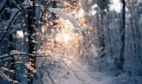 Бүгін ауа райы қандай болады